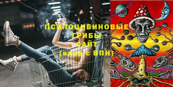 дмт Баксан